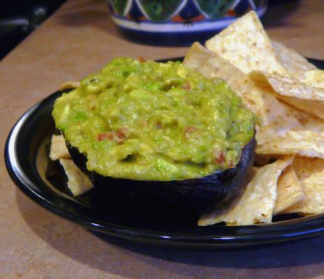 guacamole dik gemakkelijk te behagen van cent