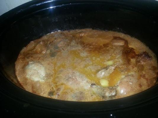 crock pot kip met tomaat en room van kippensoep