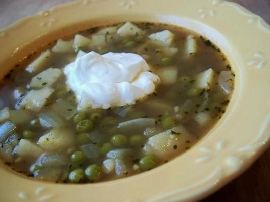 samosa soep