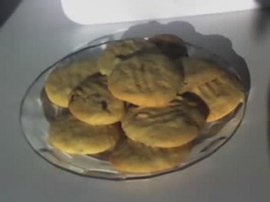 vanille koekjes (cookies)