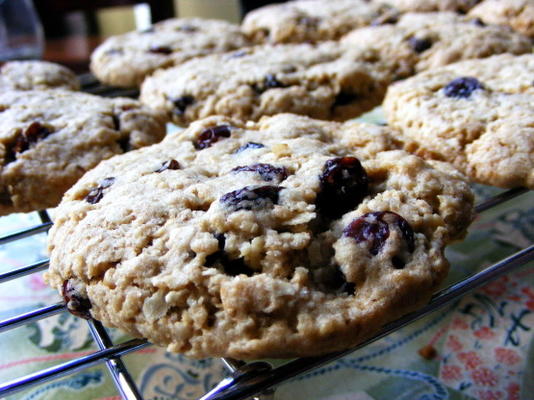 havermout rozijnenkoekjes - veganistisch