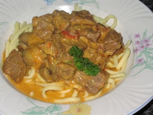 hongaarse goulash onder druk