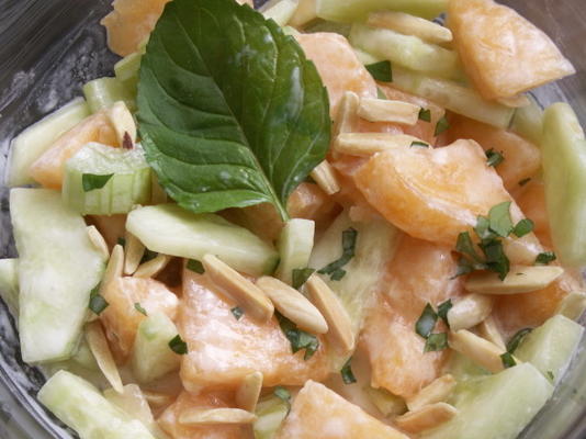 salade van meloen en komkommer