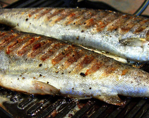 snel gegrilde forel