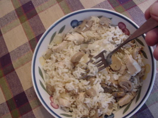 solo teriyaki kippenpilaf