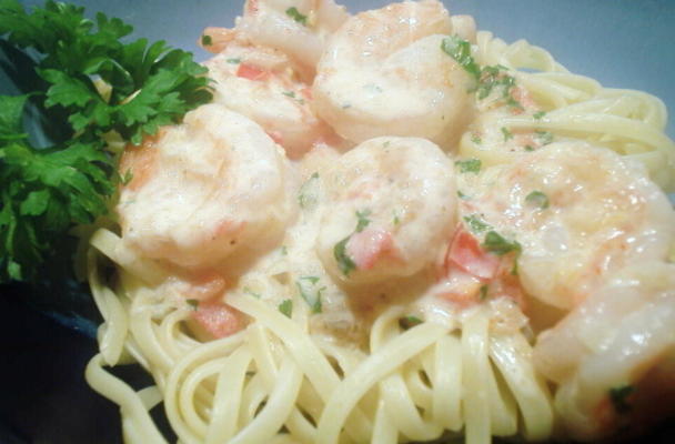 snelle scampi met roomsaus