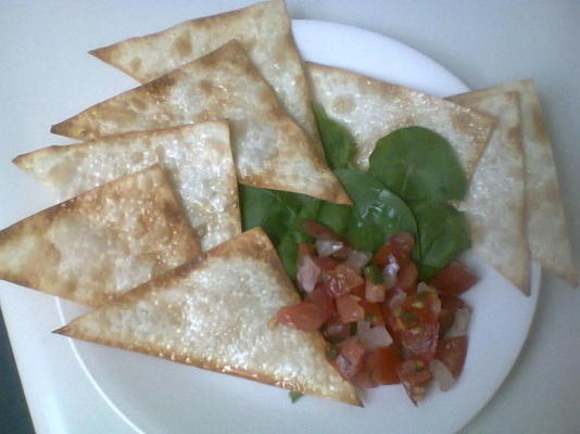 vetarm (wonton egg roll gyoza) chips met salsa