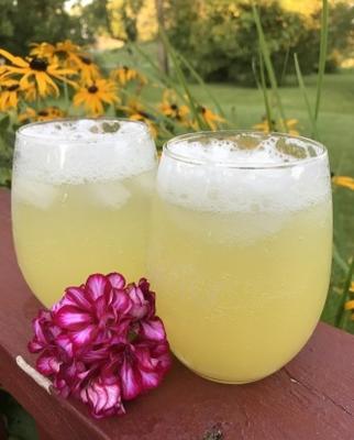 gember en ananas spritzer