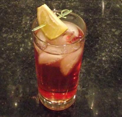 cranberry gin en tonic
