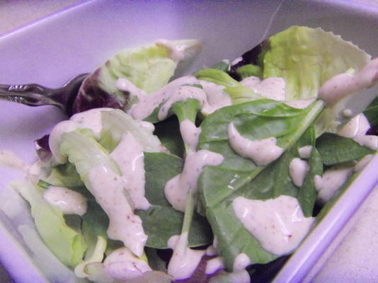 Santa Fe saladedressing