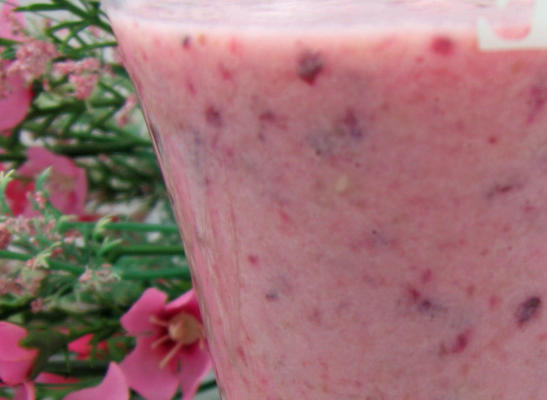 yogurtlu meyve suyu (Turks fruit smoothie)