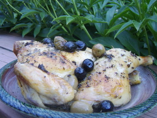 pittige kip met olijven (pollo alla diavola con olive)