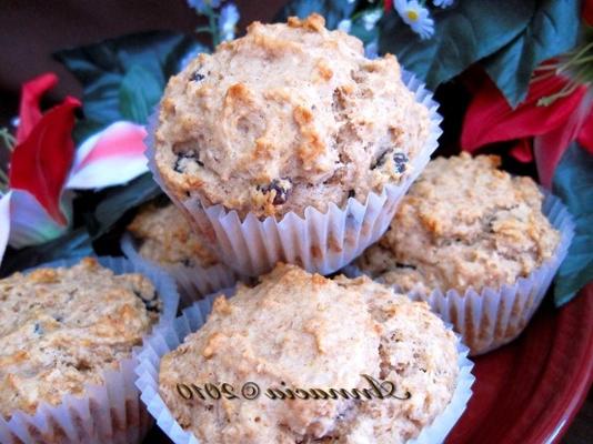 appelmoes met cranberry brood cake