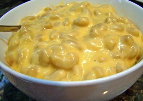 publix macaroni en kaas