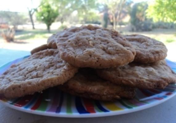 plak 'n' bak rijst krispies koekjes