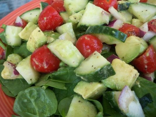 Atkins komkommer-avocado salade met komijn dressing
