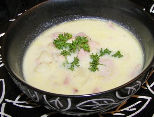 aardappel, prei en ham soep