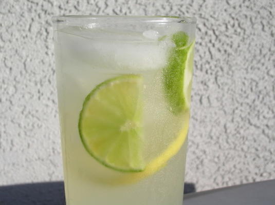 de harde limonade van sunny