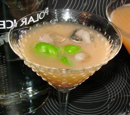 grapefruit en basilicum martini