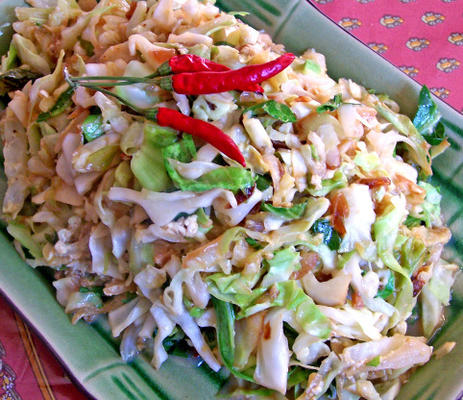 indonesische stijl geroerbakte kool