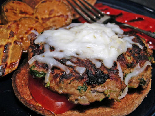 zuidwestelijke kalkoenburgers