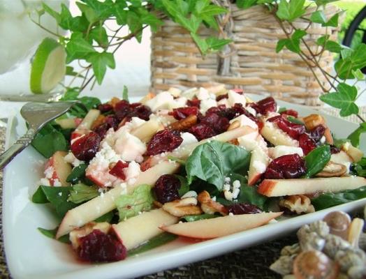 cranberry appel-spinazie salade