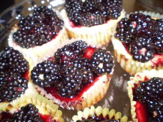 mini fruit bedekte cheesecakes