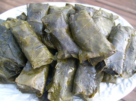 dolmathes van elaine (gevulde druivenbladeren)