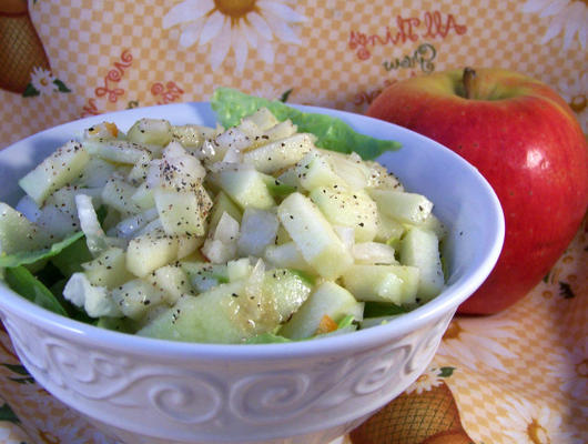 appel salade - appel salade