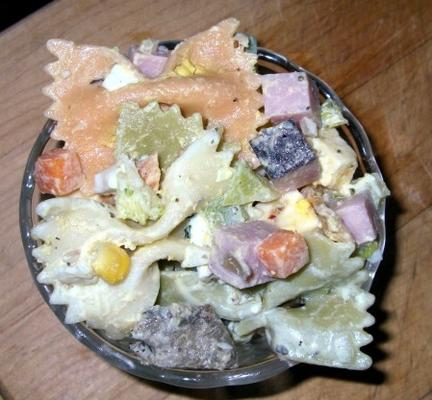 picknick pastasalade - een gerecht maaltijd