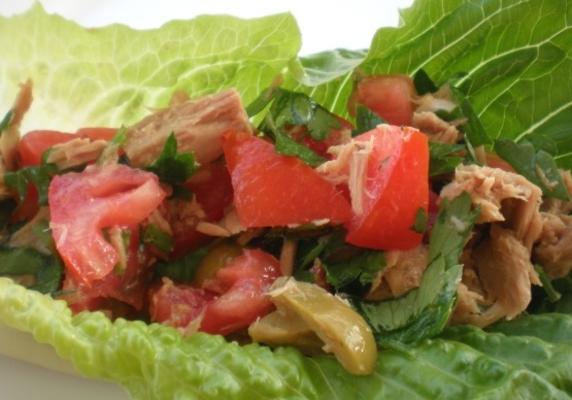 libanese geïnspireerde tonijnsalade