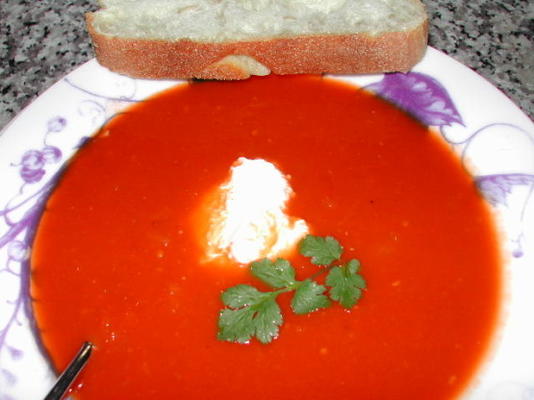 tomaat koriander soep