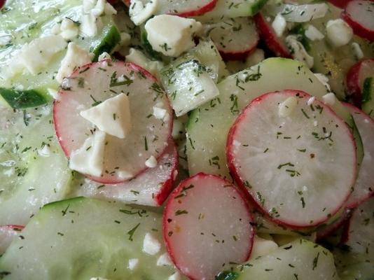 komkommer dille salade met radijs en feta