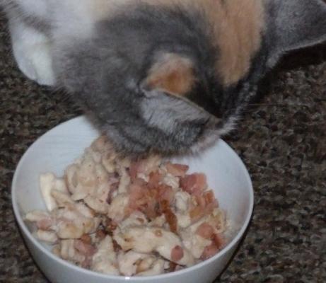 spek en roerbakken voor je kat