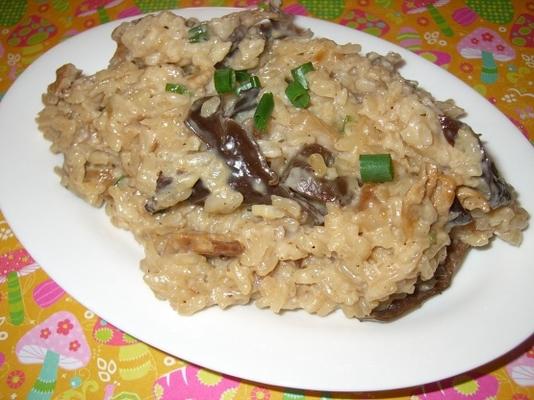 risotto met gedroogde boschampignons