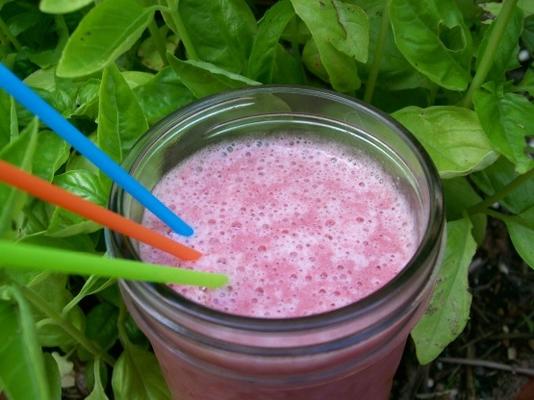 lacy's aardbei-eiwit smoothie