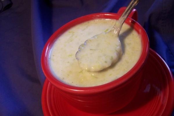 crème van prei soep met uien
