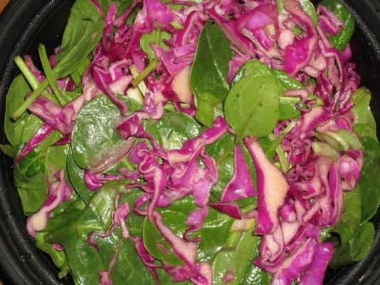spinazie en rode kool salade met oranje dressing