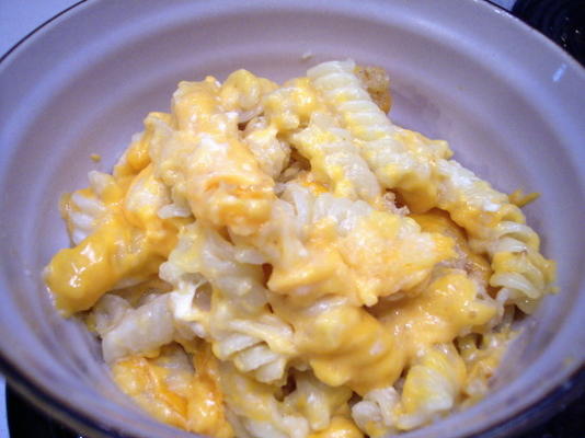 eenvoudig geschudde macaroni en kaas