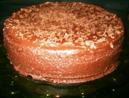 verrukkelijke cake met dubbele choc