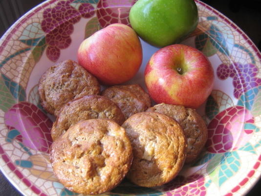 zure room zemelen muffins met appels