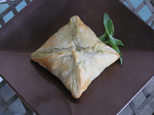 Beef curry kussens