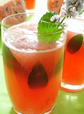 agua fresca de melon (sprankelend watermeloenwater)