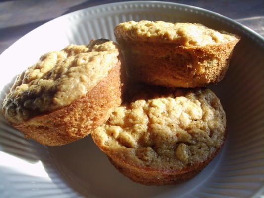kan niet geloven dat het volkoren heerlijke rozijnen / craisin muffins zijn