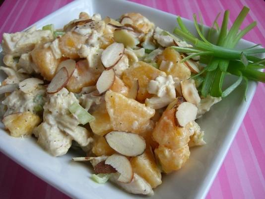 gekruide kippensalade met nectarines