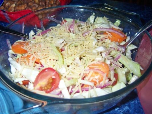salade met parmezaanse kaas (salata ma jibna)