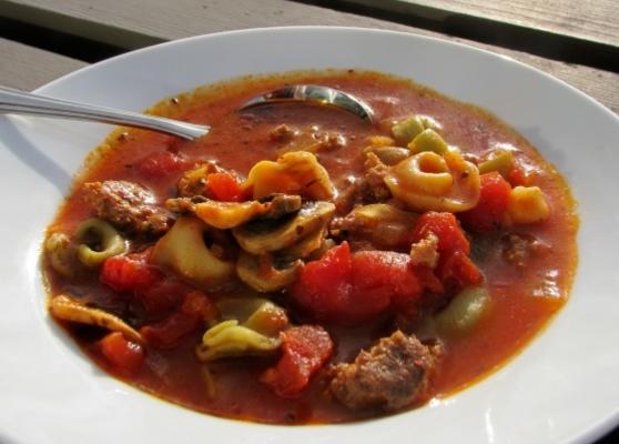 worst en tortellini soep
