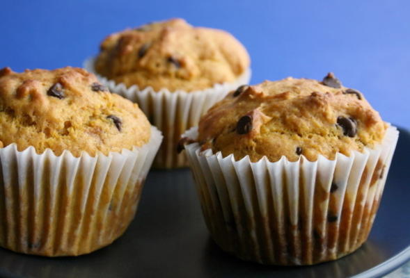 chocolademelk pompoen muffins