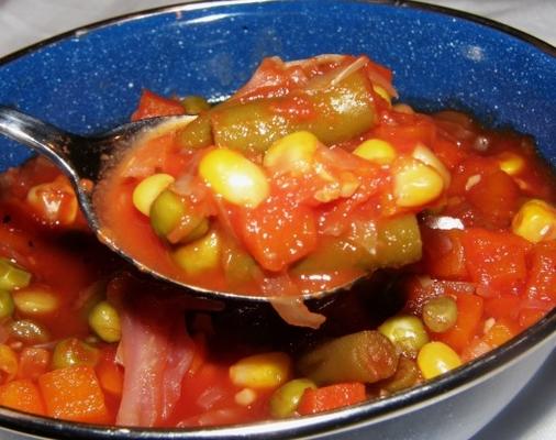 crock pot stevige hobo soep - vegetarisch