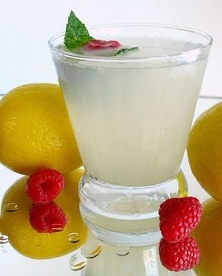 frambozen mint limonade